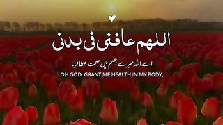 aslmoalkum 4