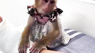 Funny videos ????????#4
