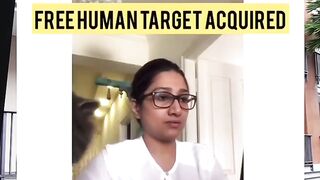 So nice funny Cat