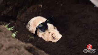 They Found Him Burried! *** SCARY *** Prank  #scaryprank
