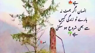 Urdu beautiful quotes //golden words //heart touching quotes
