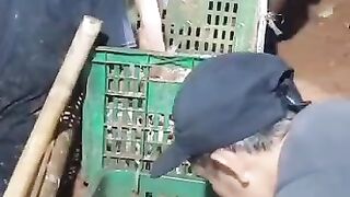 Repotnya jadi PETANI disaat panen saja, diluar itu banyakan m*l*rnya ????
