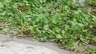 মাদ্রাসায় পড়ার সহজ কথা নয়