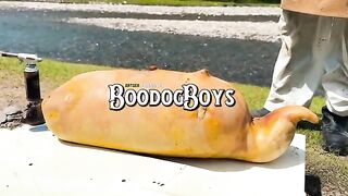 Mongolian GIANT BRISKET & BOODOG BBQ!  Boodog Boys