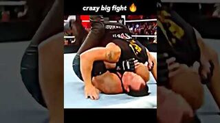 Brock lesnar vs undertaker crazy fight