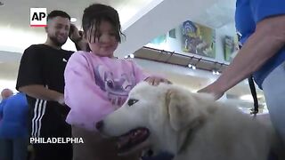 National Dog Day- Philadelphia airport thanks its brigade of therapy canines