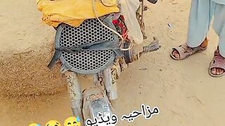 Funny video