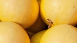 Yellow mangos turn into yellow chicks|| Funny  Chicks Video
