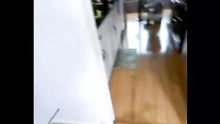 Funny and cute cats videos compilation funny and cute Pets videos