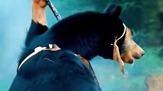 world best video