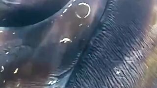 Very nice ???? 8