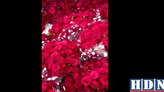 Urvashi Rautela receives 1 lac roses from fans after ‘tiny’ injury #urvashi rautela