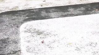 Explore Bandung - Taman Balai Kota Bandung Indonesia | #lensamel