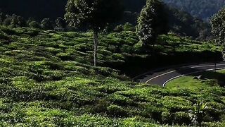 Beautiful Indonesia - At Ciwidey Bandung | #lensamel