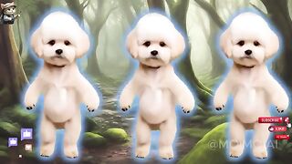 cute cat videos //cute cat and dog dance //cute cat and dog motorcycle dancing //cute cat and talk dance Moto