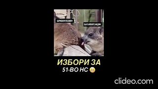 ИЗБОРИ ЗА 51 -ВО НС