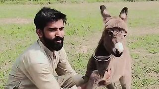 Look it's very Funny | must watch the and subscribe my febspot account
