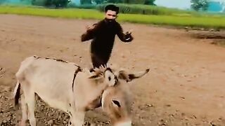 Rahim shah ko mai NY naraz kardia | funny | must watch funny
