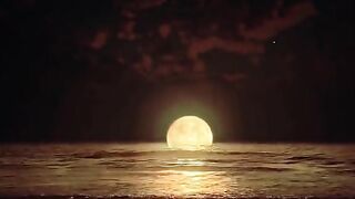Relaxing Night Music