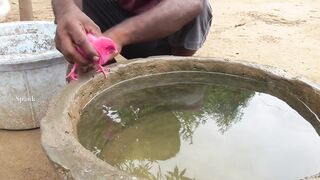 BAD_Video_MURGI_Chicks_Swimming_Pools_Bathing_Decolarization_FRACAS_