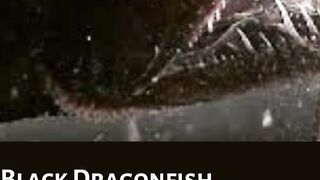 Horrifying Sea Creatures You Got To Watch Out
