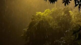 rainy night