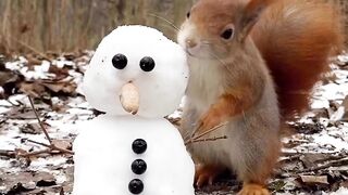 beautiful weather beautiful animal