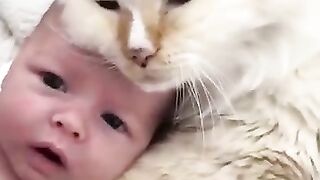 beautiful baby and cat | funny cats videos