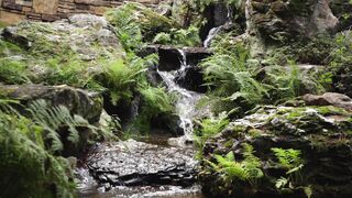 beautiful natural view