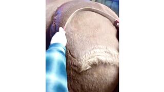 Oddly_Satisfying_Video_No_Music_
