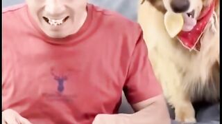 Man is dog and cat so funny