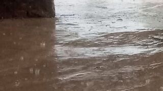 Most highly rain in
