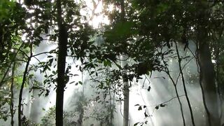 amazon tribal life bangla documentary survival secrets bangla