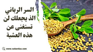 السر الرباني الذي يجعلك لن تستغني عن هذه العشبه