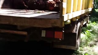 Working as a motorcycle taxi for fresh oil palm fruit bunches