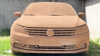Wash The Dirtiest Volkswagen Passat Ever!