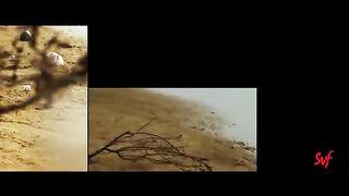 Bojhena Shey Bojhena (বোঝেনা সে বোঝেনা)  Title Track Soham Abir  Payel Mimi  Arijit Singh SVF