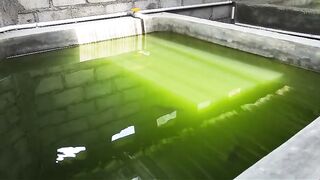Kolam BETON sedang treatment air kolam untuk pembesaran lele