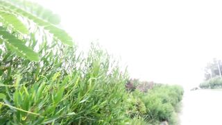 The beauty of Swabi