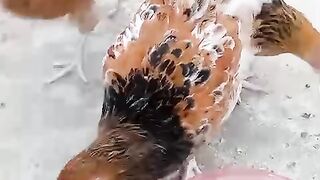 Amazing and beautiful 2