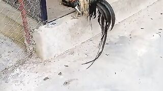 Meray bus ka kam nahi