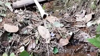 Water flow