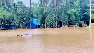 বন্যার পানিতে কিভাবে মানুষ ????????????????????