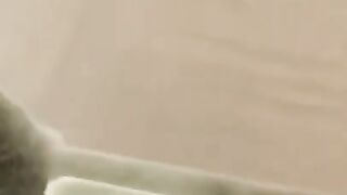 Cutest Silly Cats - Funny Cat Videos Compilation