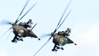 T-REX & HELICOPTER