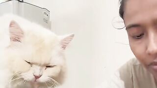 Funny video for cat 3