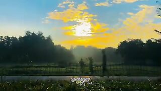 FB_VID_1721958562907164091.????