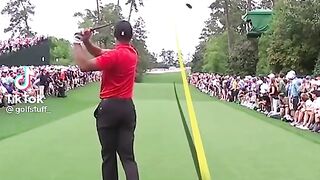 TIGER WOODS GOLF