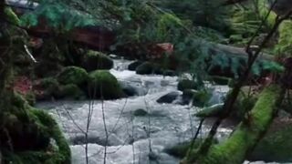 Beautiful nature 207