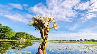 নিজেকে নিজেকে সান্ত্বনা দিতে